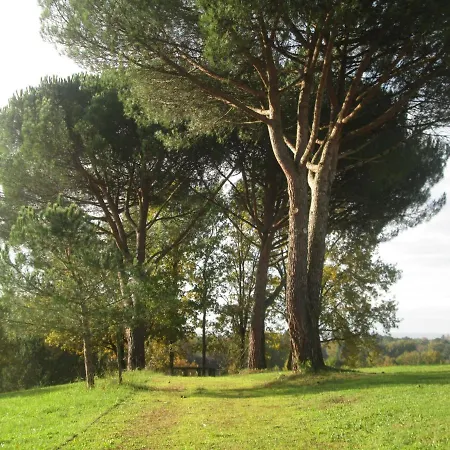 Domaine Des Cantiques * Bergerac