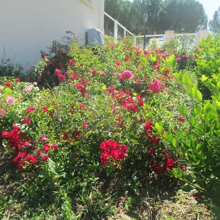 Domaine Des Cantiques
